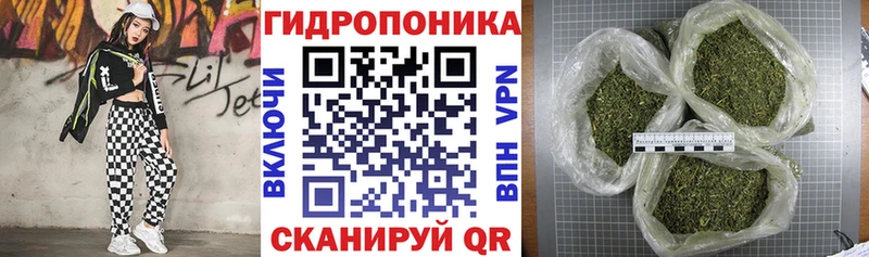 Где продают наркотики Ува APVP Псилоцибиновые грибы Гашиш Конопля КОКАИН