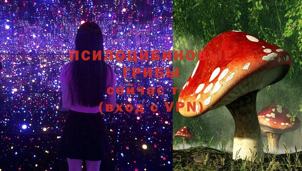 соль ск Алексеевка