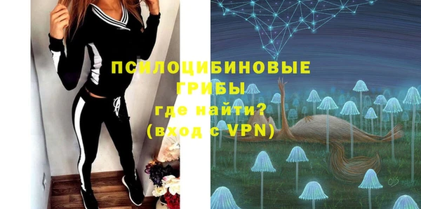 бошки Алзамай