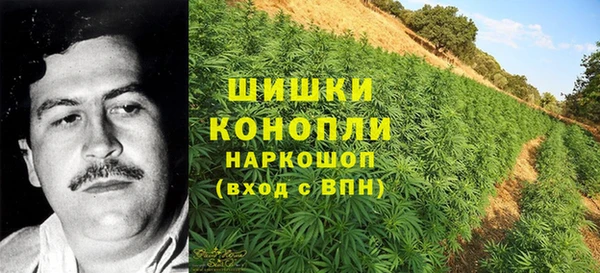 бошки Алзамай